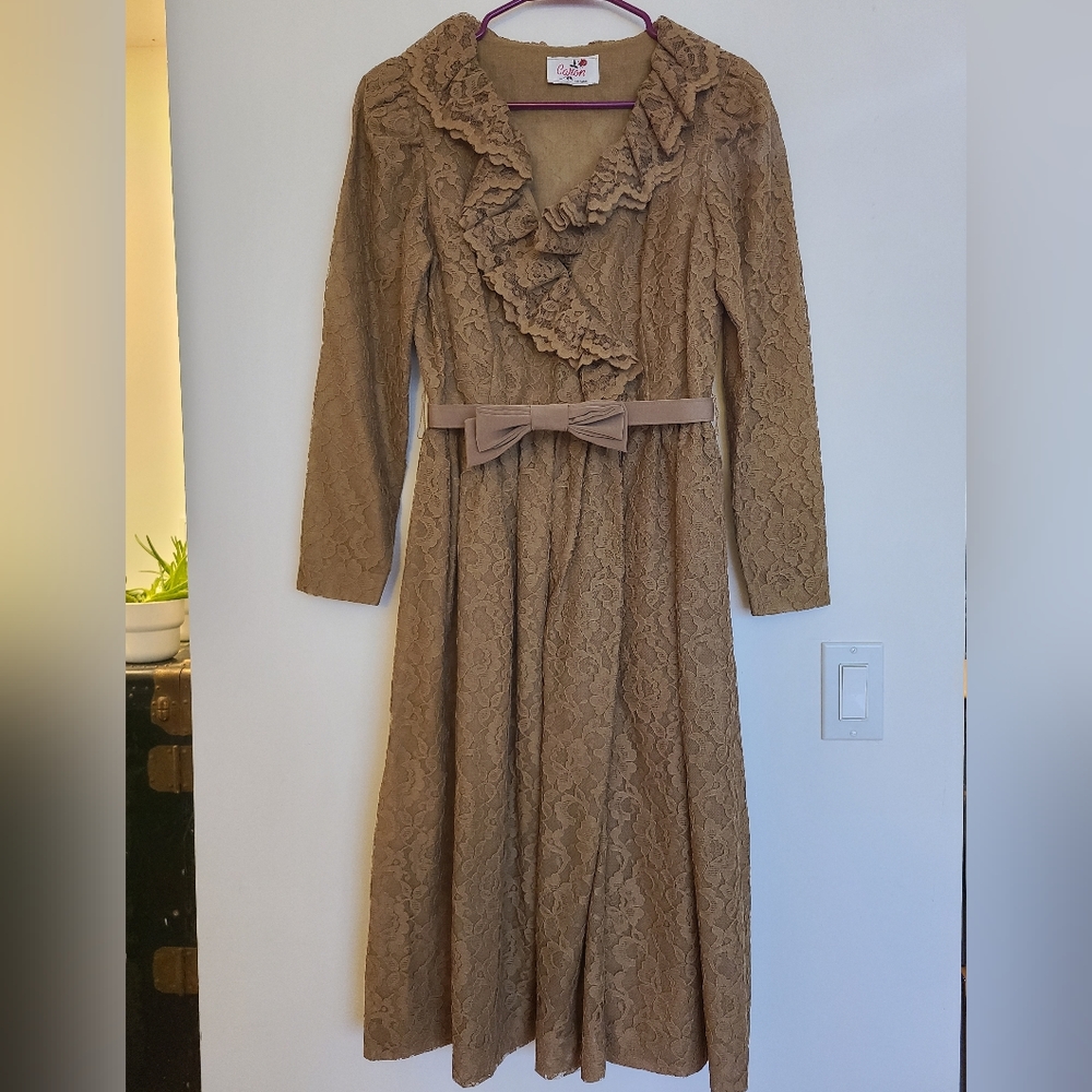 Vintage Caron Chicago dress